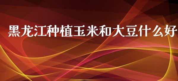 黑龙江种植玉米和大豆什么好_https://www.apanben.com_财经资讯_第1张