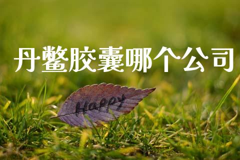 丹鳖胶囊哪个公司_https://www.apanben.com_在线喊单_第1张