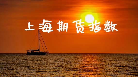 上海期货指数_https://www.apanben.com_财经资讯_第1张