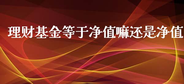 理财基金等于净值嘛还是净值_https://www.apanben.com_国际财经_第1张