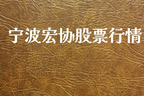 宁波宏协股票行情_https://www.apanben.com_股票怎么玩_第1张