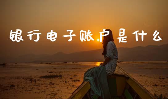 银行电子账户是什么_https://www.apanben.com_在线喊单_第1张