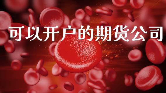 可以开户的期货公司_https://www.apanben.com_国际期货_第1张