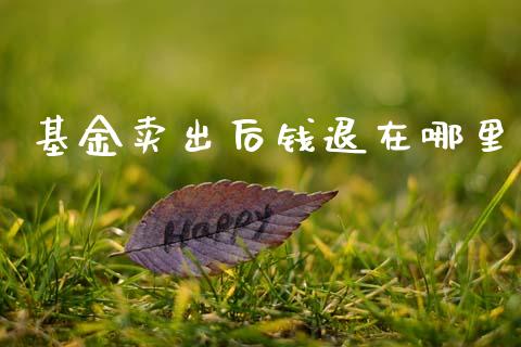 基金卖出后钱退在哪里_https://www.apanben.com_在线喊单_第1张