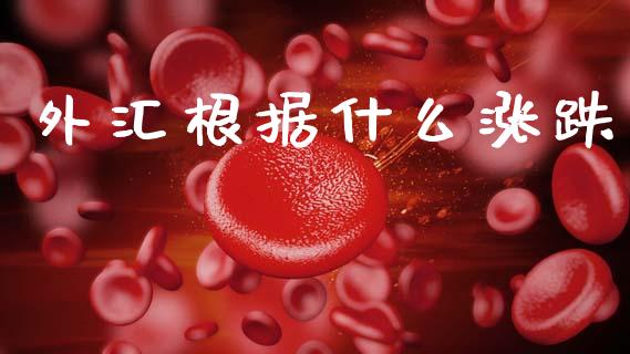 外汇根据什么涨跌_https://www.apanben.com_财经资讯_第1张