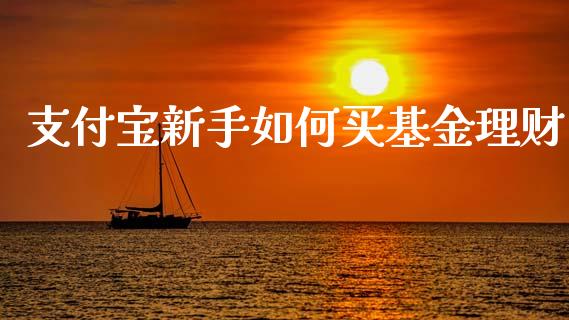 支付宝新手如何买基金理财_https://www.apanben.com_国际财经_第1张