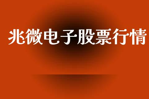 兆微电子股票行情_https://www.apanben.com_股市指导_第1张