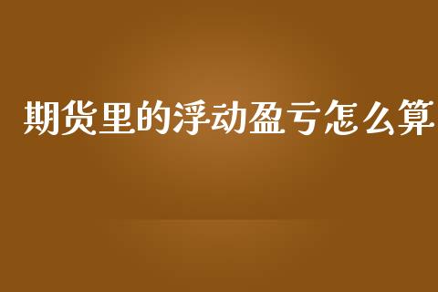期货里的浮动盈亏怎么算_https://www.apanben.com_股市分析_第1张