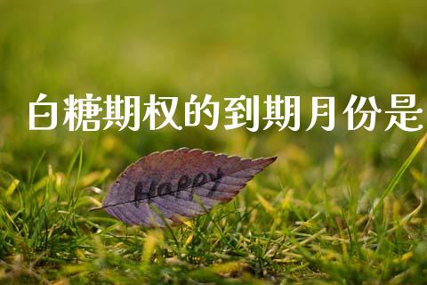 白糖期权的到期月份是_https://www.apanben.com_国际财经_第1张