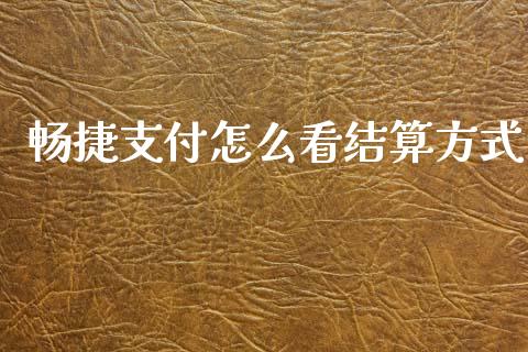 畅捷支付怎么看结算方式_https://www.apanben.com_期货学院_第1张