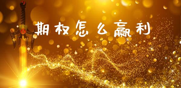 期权怎么赢利_https://www.apanben.com_股票怎么玩_第1张
