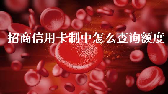 招商信用卡制中怎么查询额度_https://www.apanben.com_在线喊单_第1张