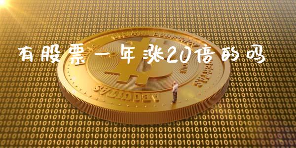 有股票一年涨20倍的吗_https://www.apanben.com_国际财经_第1张