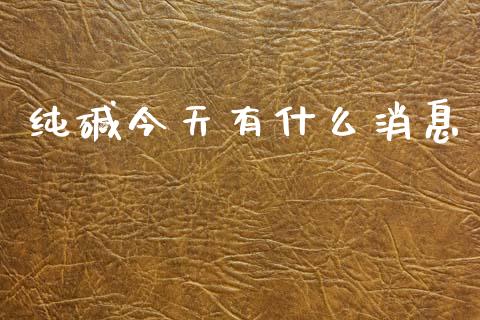 纯碱今天有什么消息_https://www.apanben.com_财经资讯_第1张