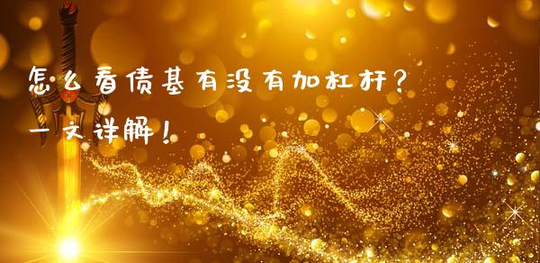 怎么看债基有没有加杠杆？一文详解！_https://www.apanben.com_国际期货_第1张