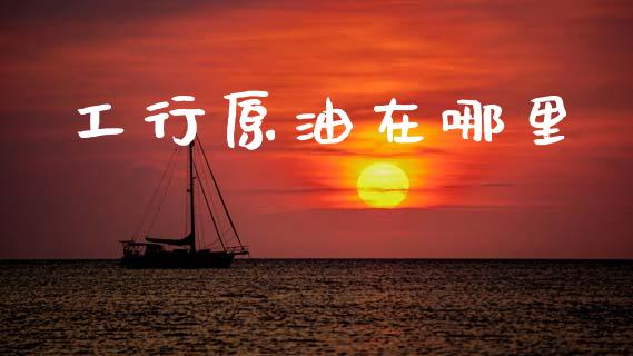 工行原油在哪里_https://www.apanben.com_股市分析_第1张