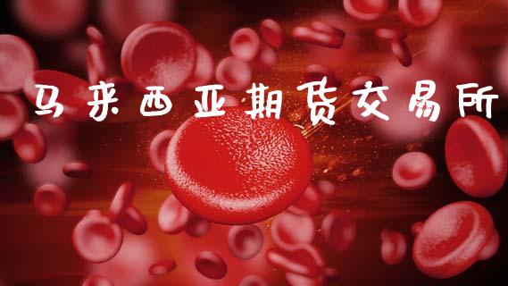 马来西亚期货交易所_https://www.apanben.com_国际期货_第1张