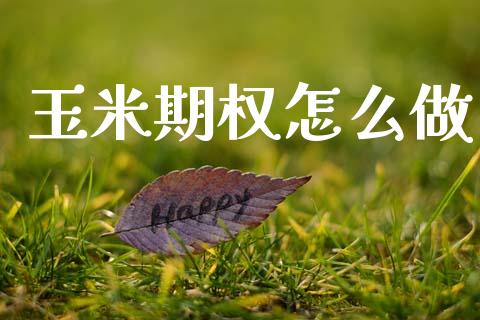 玉米期权怎么做_https://www.apanben.com_期货学院_第1张