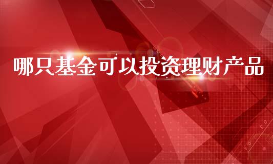 哪只基金可以投资理财产品_https://www.apanben.com_财经资讯_第1张
