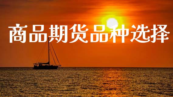 商品期货品种选择_https://www.apanben.com_在线喊单_第1张