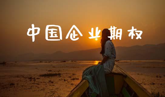 中国企业期权_https://www.apanben.com_在线喊单_第1张