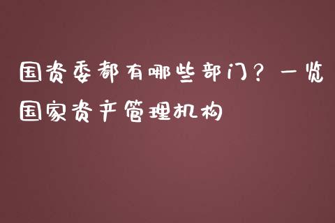 国资委都有哪些部门？一览国家资产管理机构_https://www.apanben.com_国际财经_第1张