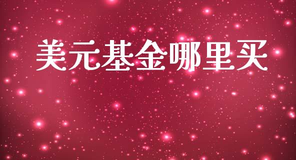 美元基金哪里买_https://www.apanben.com_期货学院_第1张