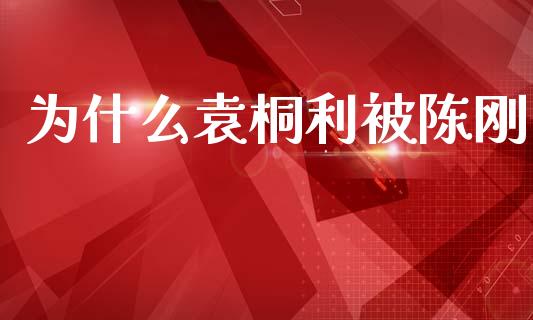 为什么袁桐利被陈刚_https://www.apanben.com_股票怎么玩_第1张
