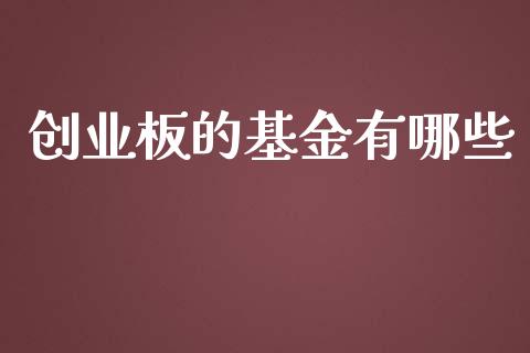 创业板的基金有哪些_https://www.apanben.com_股市指导_第1张