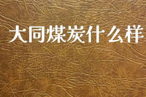大同煤炭什么样_https://www.apanben.com_股票怎么玩_第1张