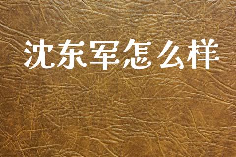 沈东军怎么样_https://www.apanben.com_国际财经_第1张