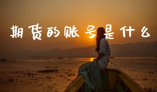 期货的账号是什么_https://www.apanben.com_期货学院_第1张