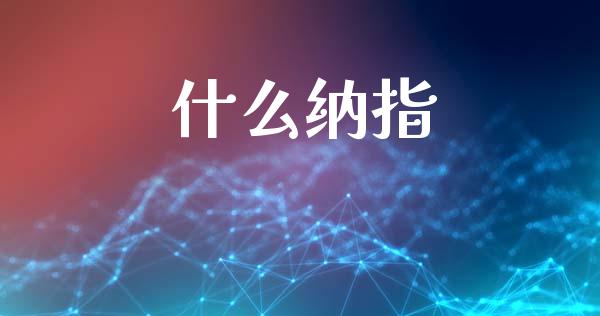 什么纳指_https://www.apanben.com_国际财经_第1张