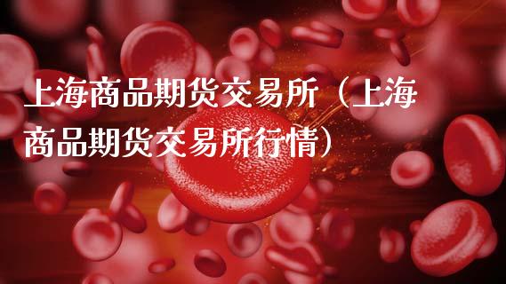 上海商品期货交易所（上海商品期货交易所行情）_https://www.apanben.com_期货学院_第1张