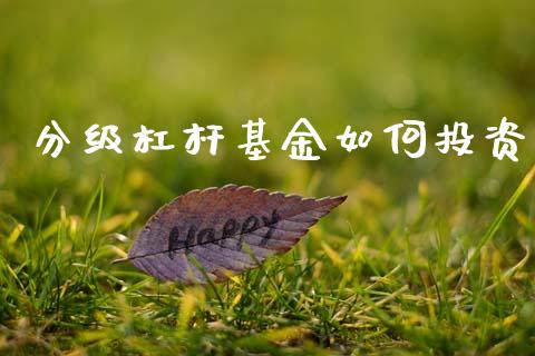 分级杠杆基金如何投资_https://www.apanben.com_国际财经_第1张