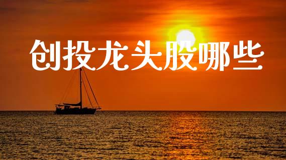 创投龙头股哪些_https://www.apanben.com_期货学院_第1张