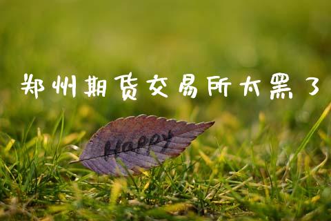 郑州期货交易所太黑了_https://www.apanben.com_国际期货_第1张