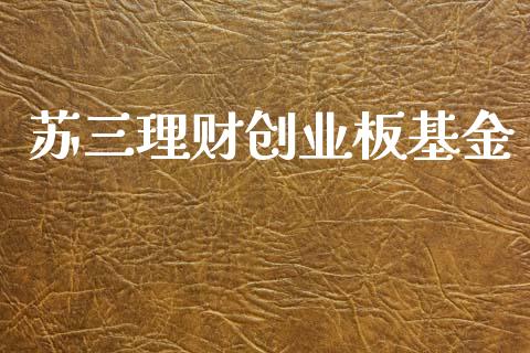 苏三理财创业板基金_https://www.apanben.com_财经资讯_第1张