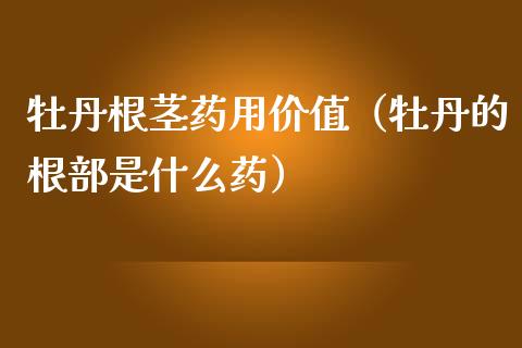 牡丹根茎药用价值（牡丹的根部是什么药）_https://www.apanben.com_期货学院_第1张