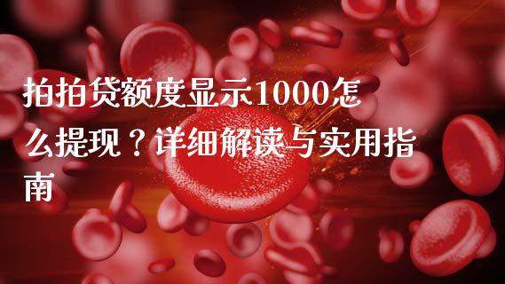 拍拍贷额度显示1000怎么提现？详细解读与实用指南_https://www.apanben.com_国际财经_第1张