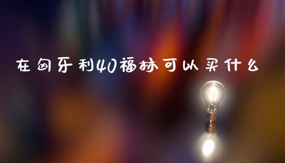 在匈牙利40福林可以买什么_https://www.apanben.com_股市分析_第1张