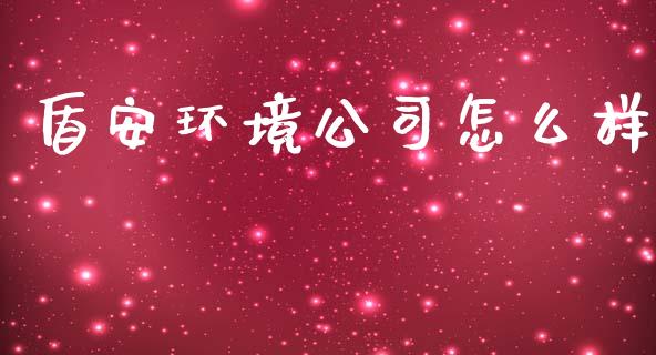 盾安环境公司怎么样_https://www.apanben.com_股市分析_第1张