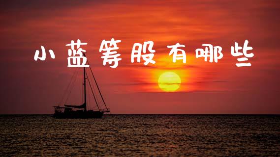 小蓝筹股有哪些_https://www.apanben.com_在线喊单_第1张