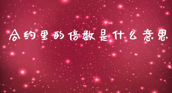 合约里的倍数是什么意思_https://www.apanben.com_期货学院_第1张