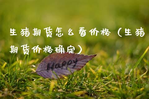 生猪期货怎么看价格(生猪期货价格确定)_期货学院_第1张_安贝财经网 生猪期货怎么看价格(生猪期货价格确定)_https://www.apanben.com_期货学院_第1张