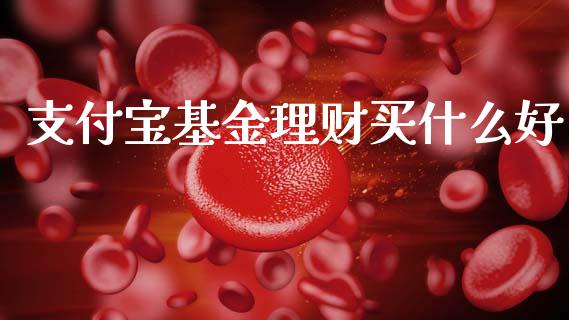 支付宝基金理财买什么好_https://www.apanben.com_国际财经_第1张