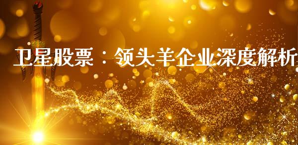 卫星股票：领头羊企业深度解析_https://www.apanben.com_国际财经_第1张