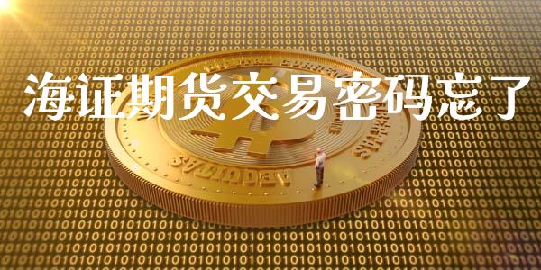 海证期货交易密码忘了_https://www.apanben.com_期货学院_第1张