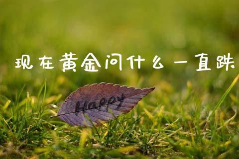 现在黄金问什么一直跌_https://www.apanben.com_国际期货_第1张