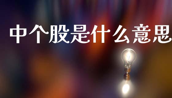 中个股是什么意思_https://www.apanben.com_在线喊单_第1张